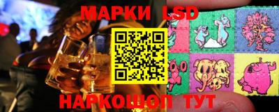 a pvp Кингисепп