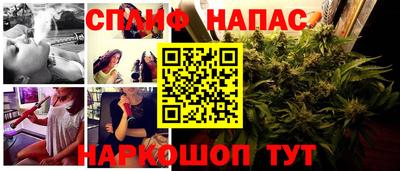 a pvp Кингисепп