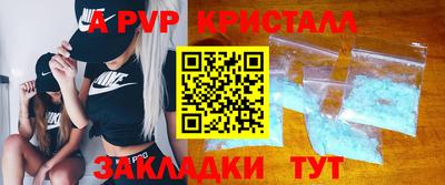 a pvp Кингисепп