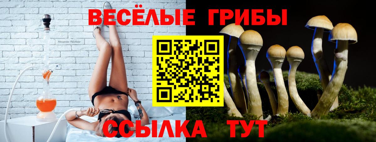 Псилоцибиновые грибы MAGIC MUSHROOMS  где купить наркоту  Вход с VPN  Верхняя Пышма  Псилоцибиновые грибы GOLDEN TEACHER 